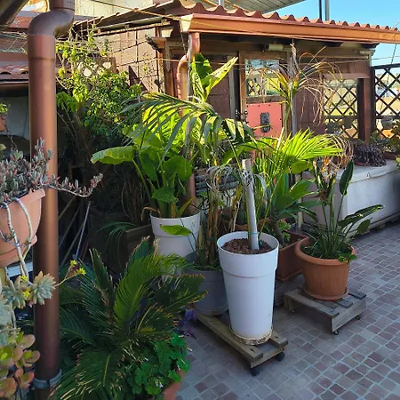 La Terrazza كوارتو سانتيلينا